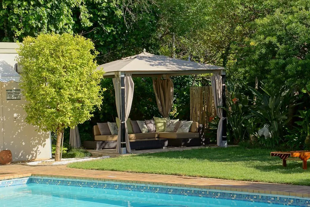 Wild Olive Guest House Kapstadt Südafrika