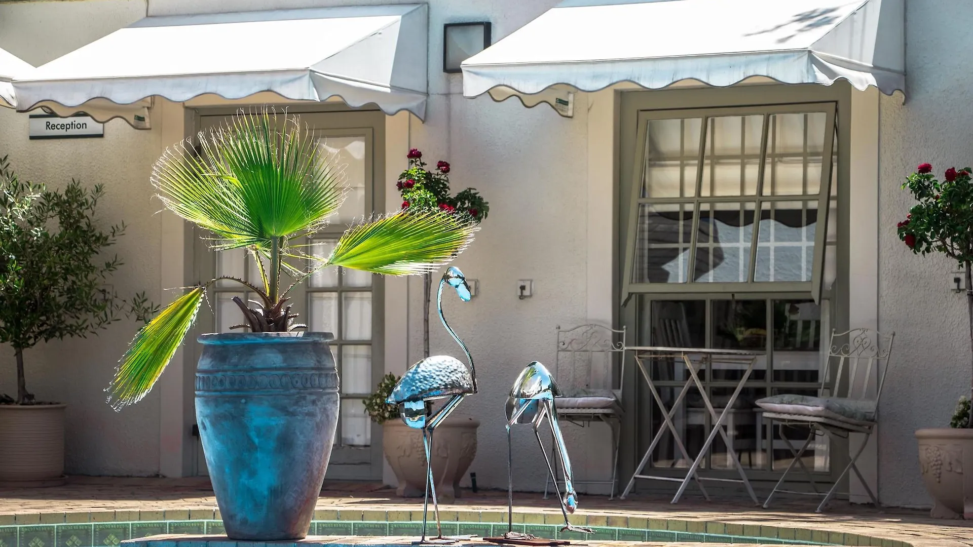 Wild Olive Guest House Kapstadt