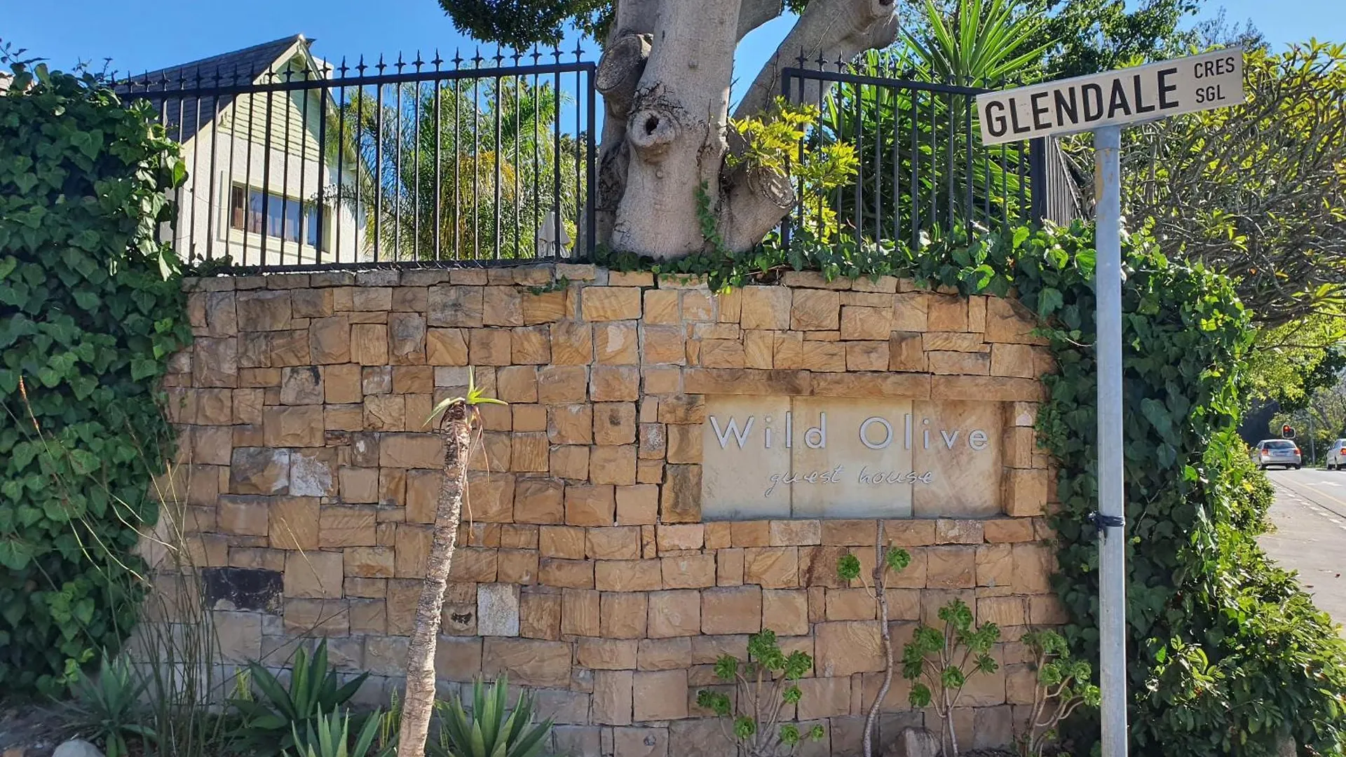 Wild Olive Guest House Kapstadt