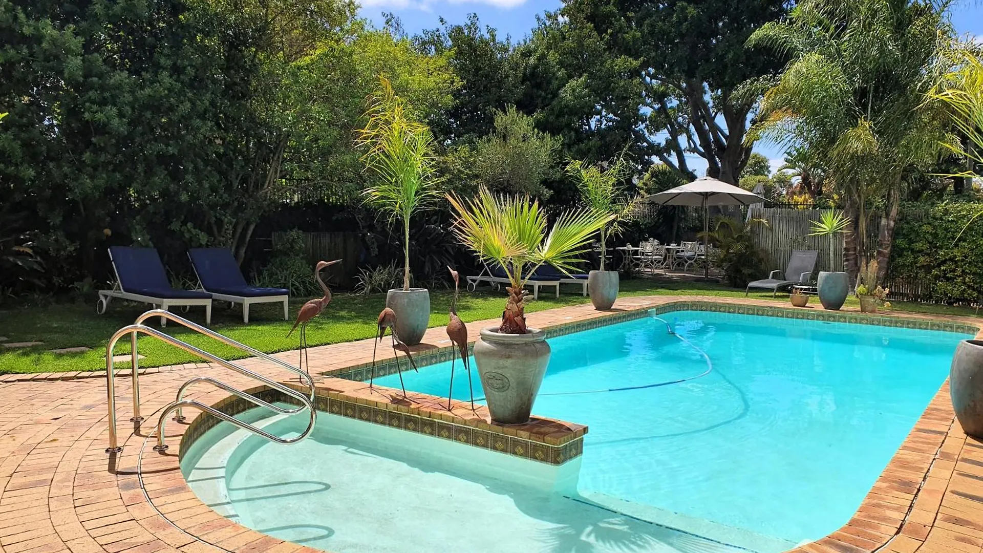 Wild Olive Guest House Kapstadt
