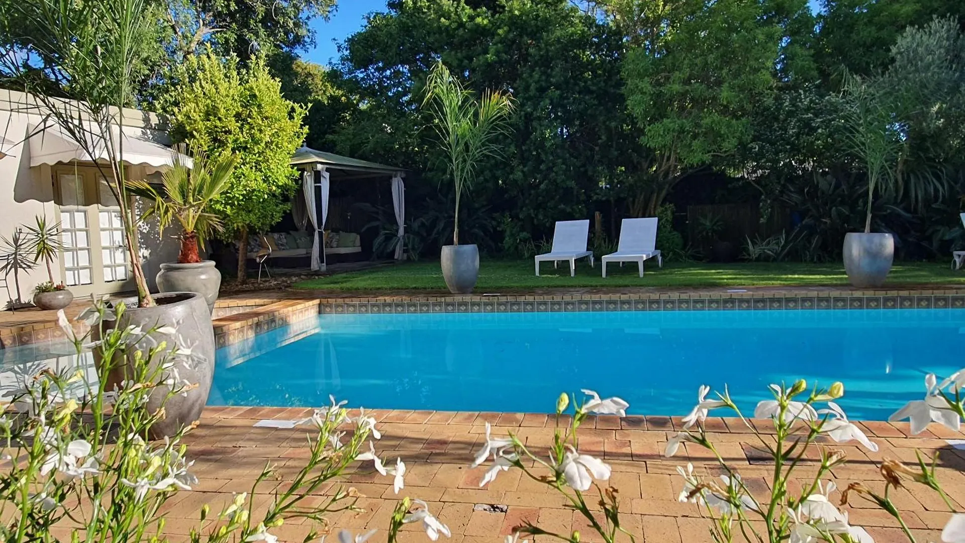 Wild Olive Guest House Kapstadt Südafrika