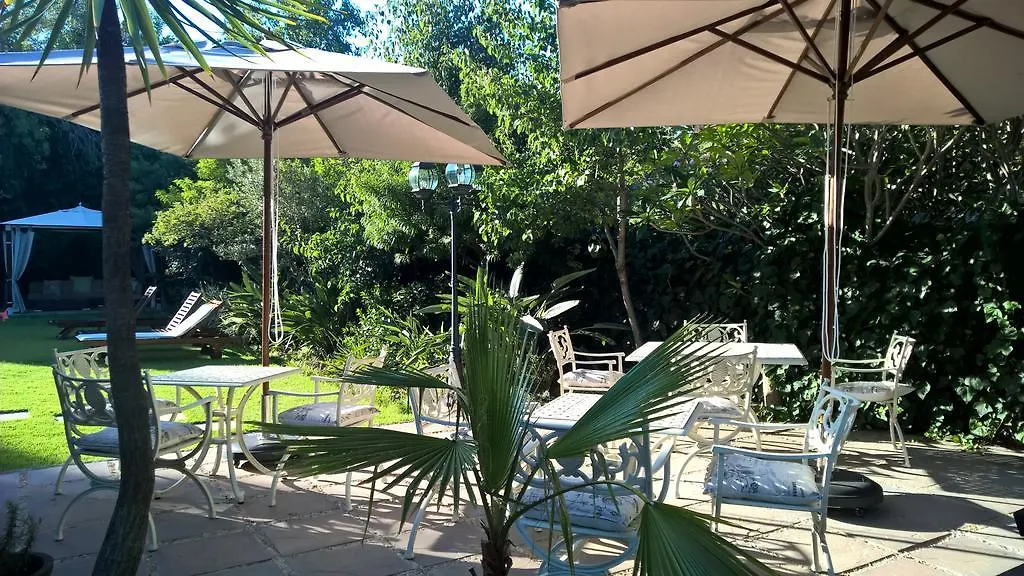 Wild Olive Guest House Kapstadt Südafrika