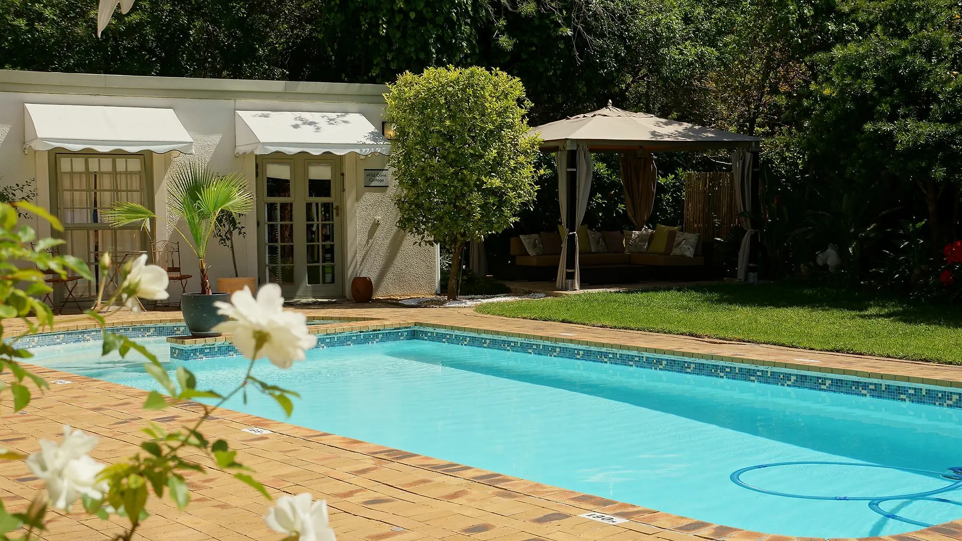 Wild Olive Guest House Kapstadt