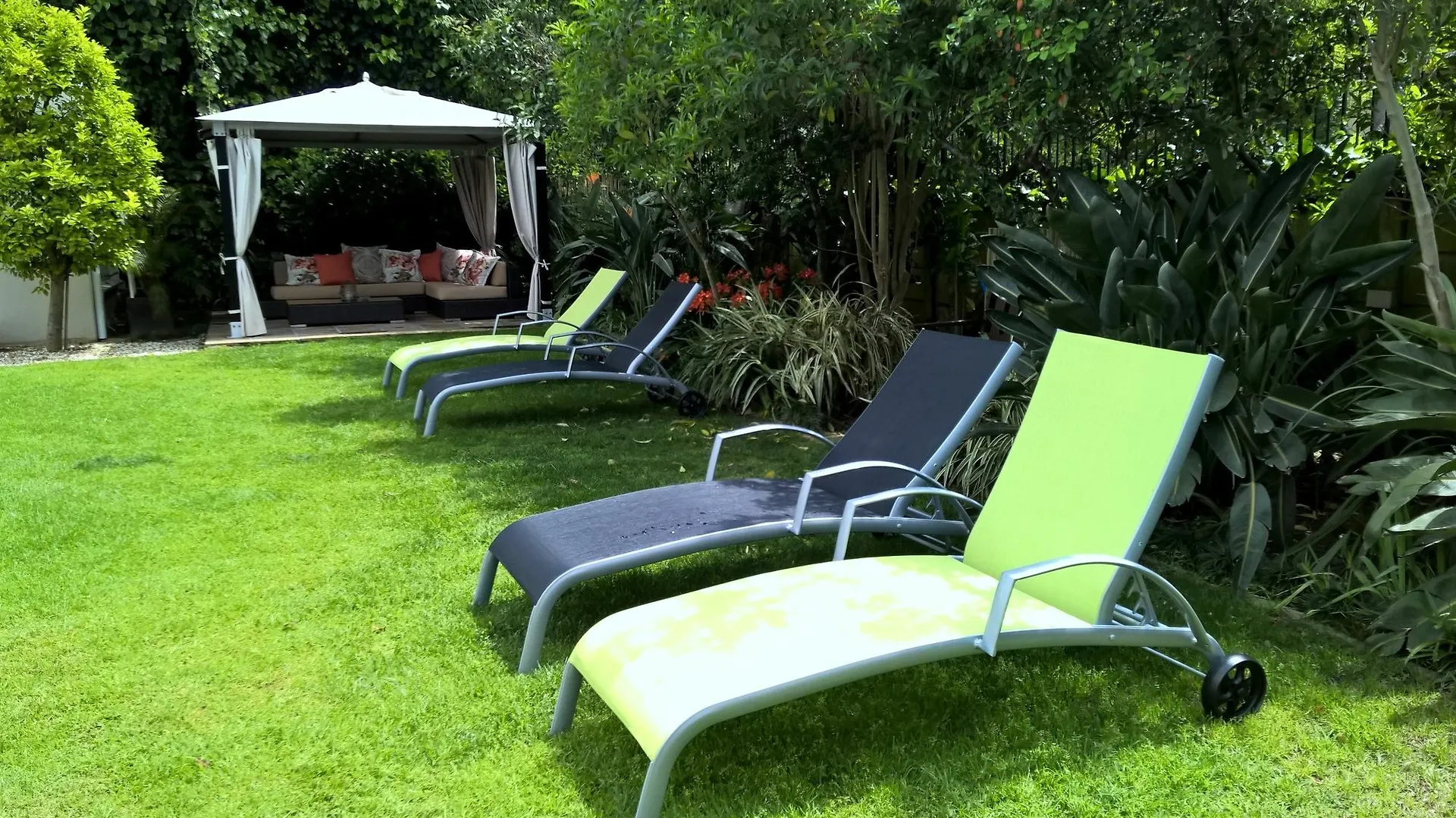 Wild Olive Guest House Kapstadt 4*,
