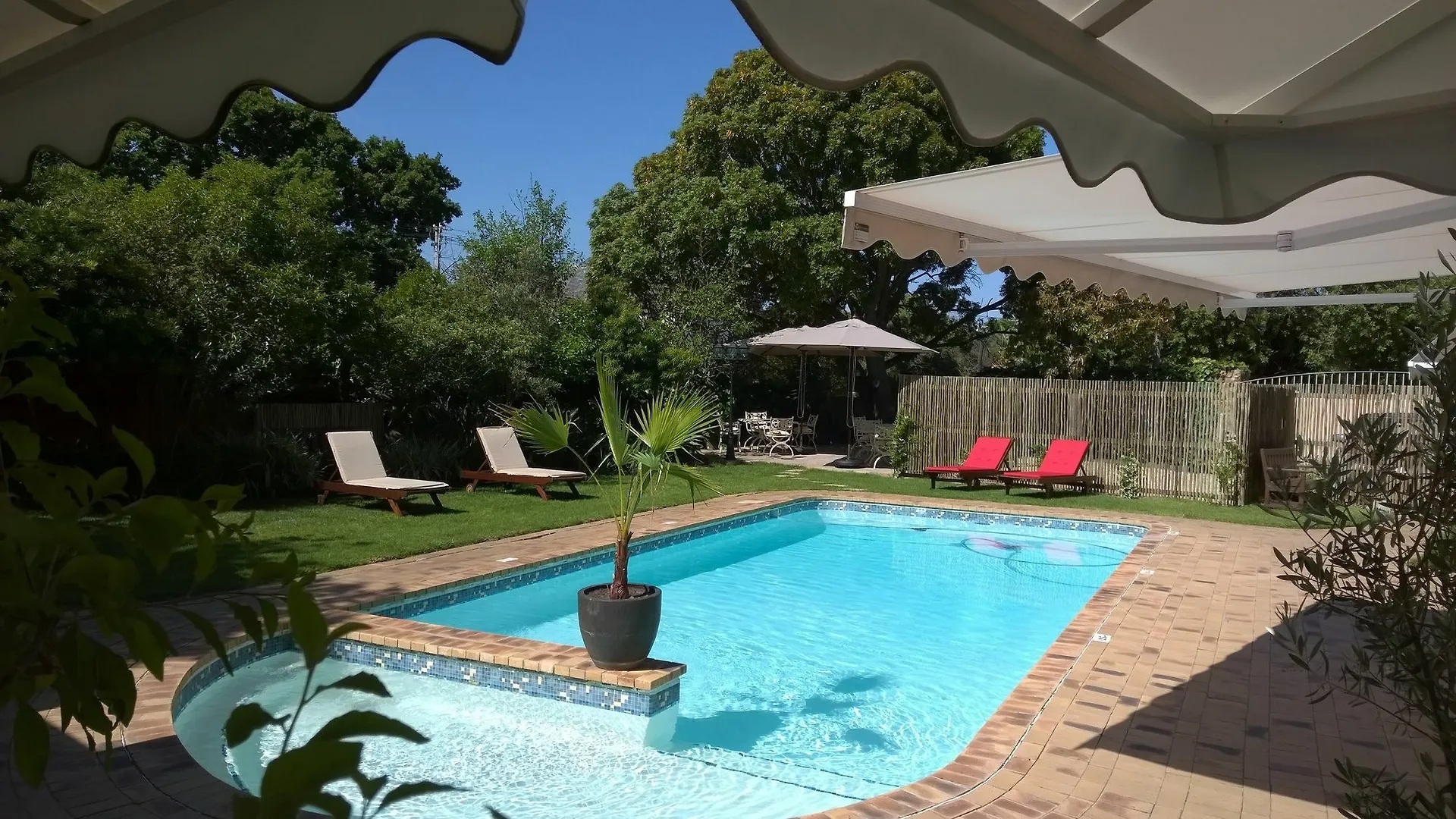 Wild Olive Guest House Kapstadt Südafrika