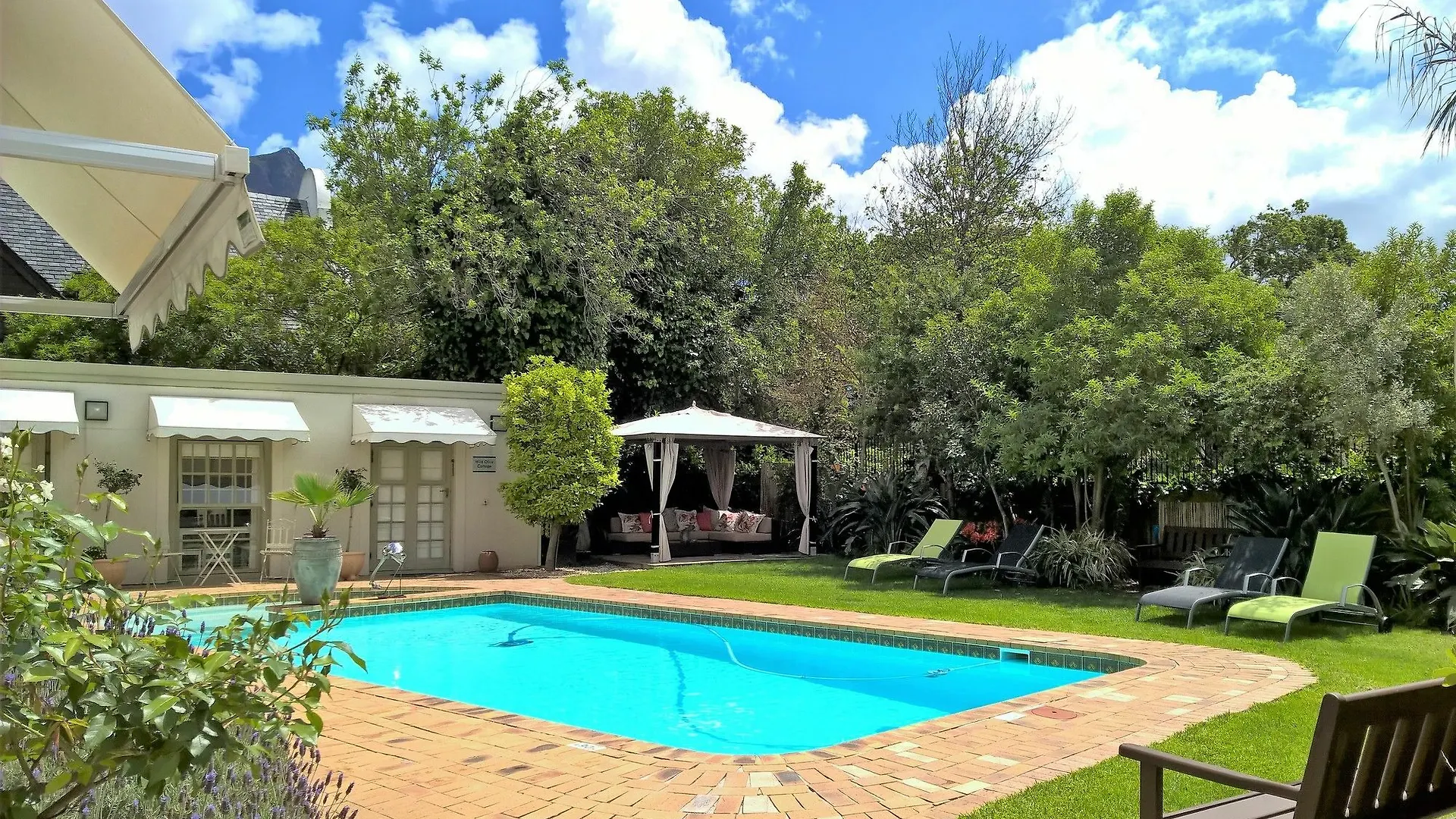 Wild Olive Guest House Kapstadt