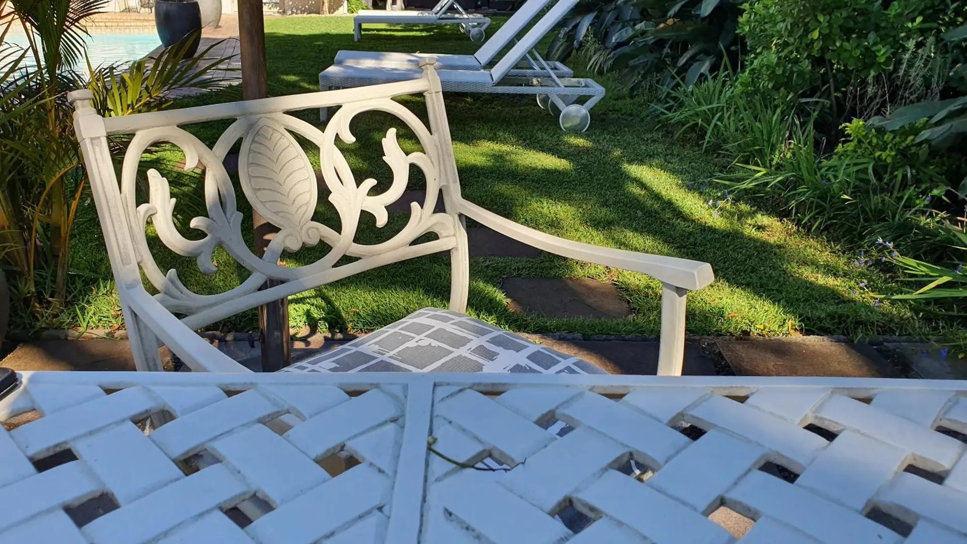 Wild Olive Guest House & Villa Cape Town